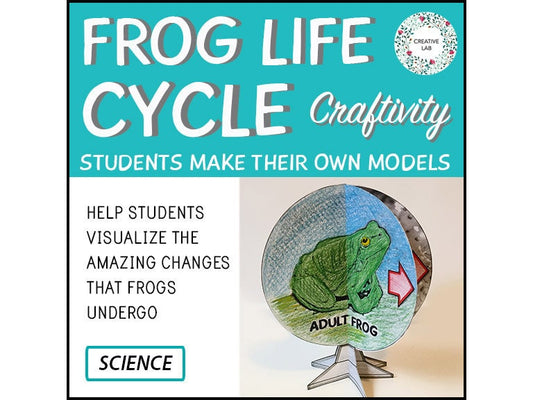 Frog Life Cycle - 3D Model Craft Activity // Printable Teacher School Resource // No Prep Classroom // Science Biology Earth