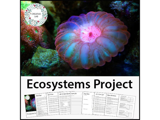 Ecosystems Research Project - PBL // Printable Teaching Resource // No Prep Classroom // Project Based Learning