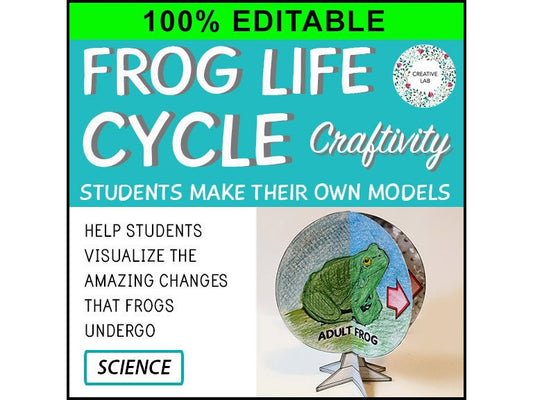 Frog Life Cycle - 3D Model Craft Activity - 100% Editable // Printable Teaching Resource // No Prep Classroom // Science Earth Biology