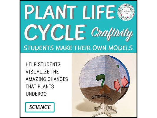 Plant Life Cycle - 3D Model Craft Activity