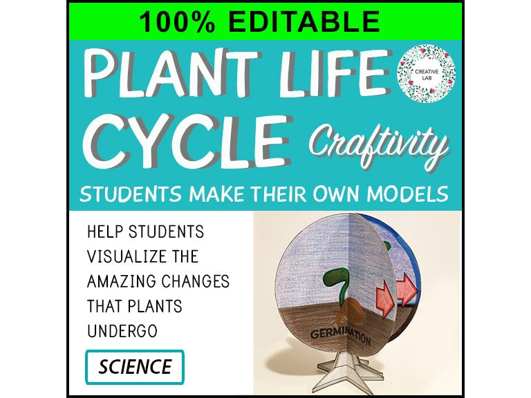 Plant Life Cycle - 3D Model Craft Activity - 100% Editable